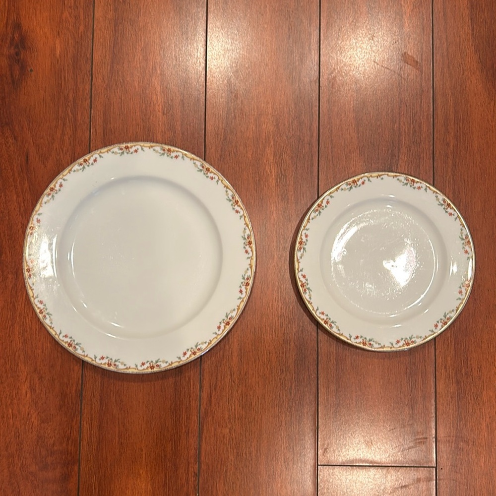 Vintage Limoges France Vignaud Bone China Plates